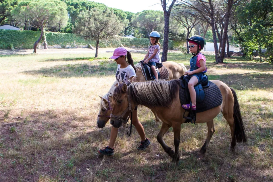 Camping La Baume La Palmeraie