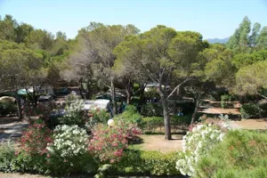 Camping La Baume La Palmeraie - Ucamping