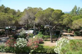 Camping La Baume La Palmeraie - Ucamping