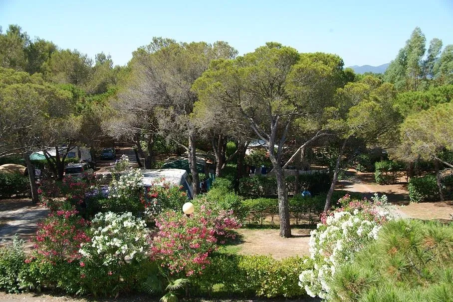 Camping La Baume La Palmeraie