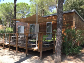 Mietunterkunft - Mobilhein Premium Acacia 40 M² - 2 Zimmer - Camping La Baume La Palmeraie