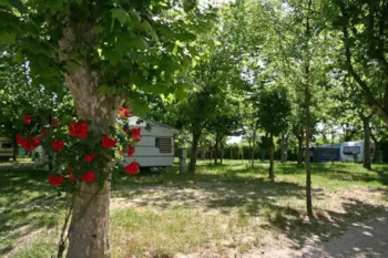 Stellplatz - Box B (Max 70 M²) - Villaggio Camping delle Rose