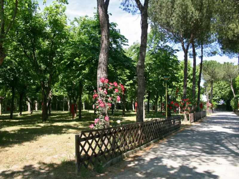 Box C (Jusqu'à 90 M²)