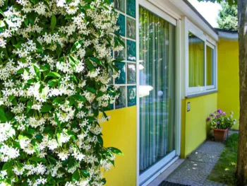 Mietunterkunft - Bungalow Confort 33 M² - Villaggio Camping delle Rose