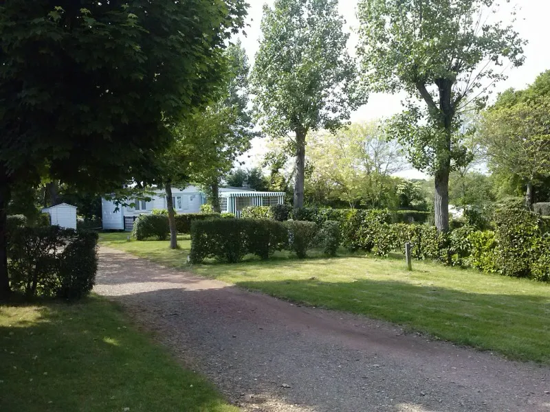 Pitch - Camping Pitch (Trekking, Cycling) With Electricity, Without Vehicle ( <50 M2 ) - Camping Sun Océan