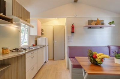 Mobile-home « CONFORT » 2 bedrooms 4 P TV