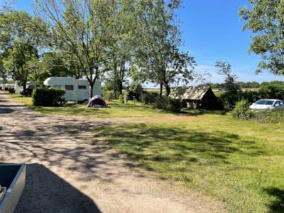 Camping pitch WITH electricity, with or without vehicle  (80 to 100m²)