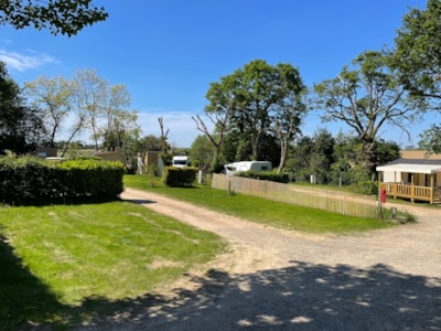 Camping pitch WITH electricity, with or without vehicle  (80 to 100m²)