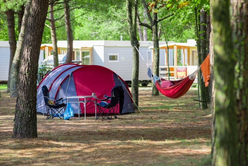 Camping Ca'Savio | PiNCAMP by ADAC
