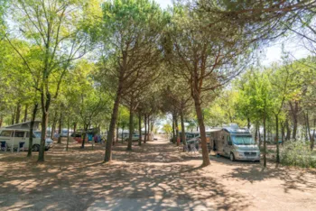 Stellplatz - Zelt Und Wohnmobilplatz 60-80 Mq (Str. 26-70) Mit Strom - Camping Ca'Savio