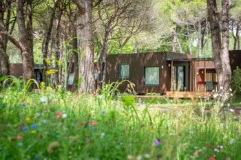 Mietunterkunft - Pardis Lodge - Camping Ca'Savio