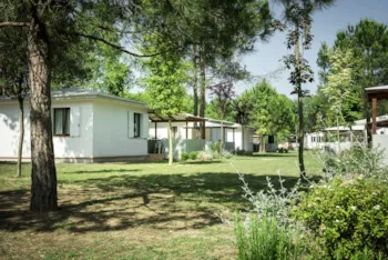 Mietunterkunft - Bungalow Comfort - Camping Ca'Savio