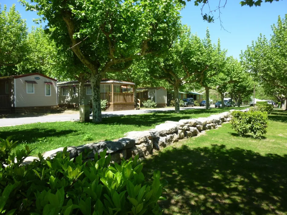 International Camping