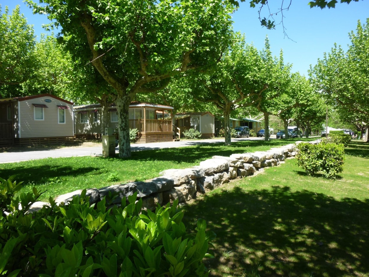 International Camping