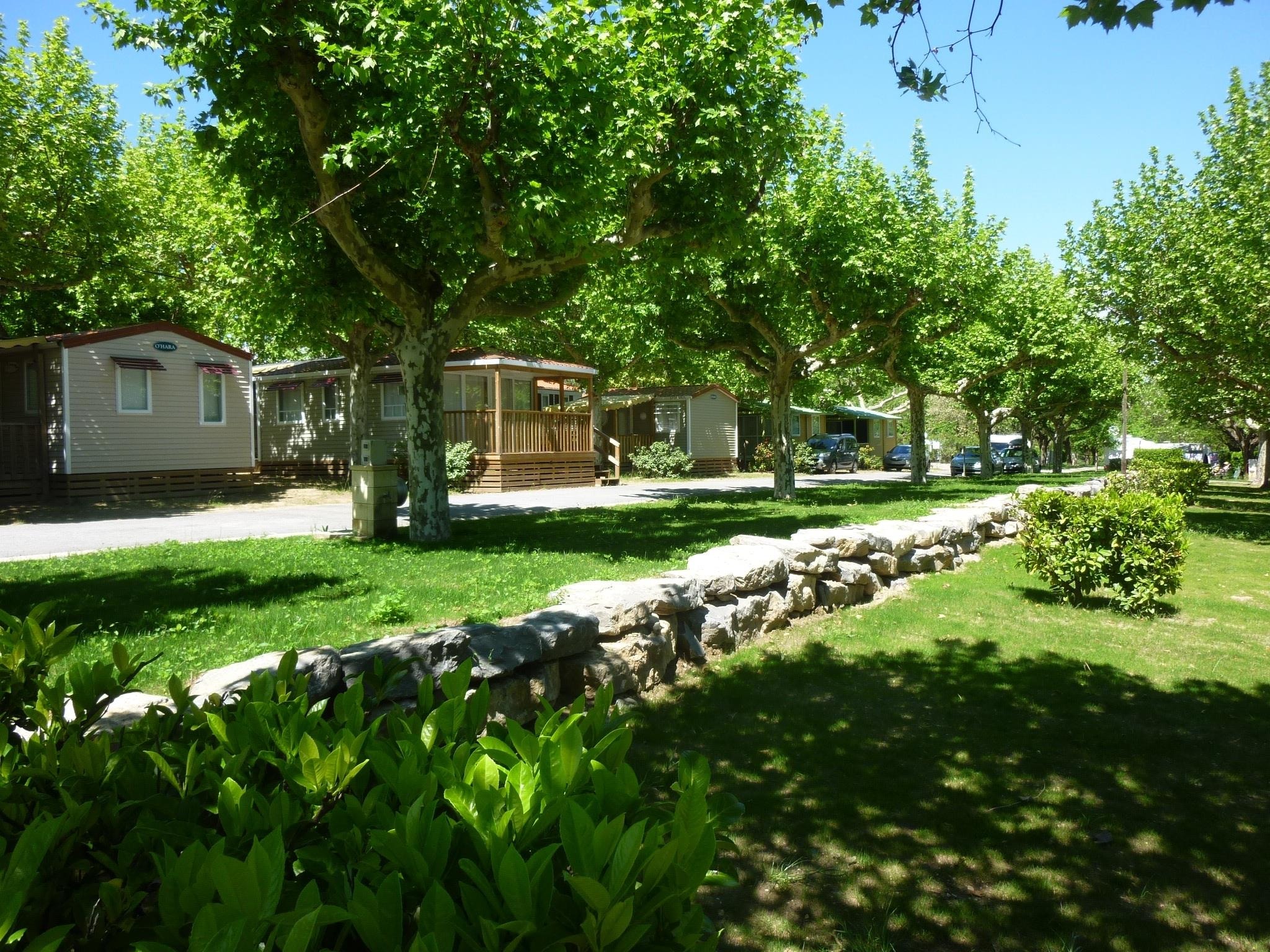 International Camping — Photo 8