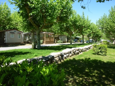 International Camping