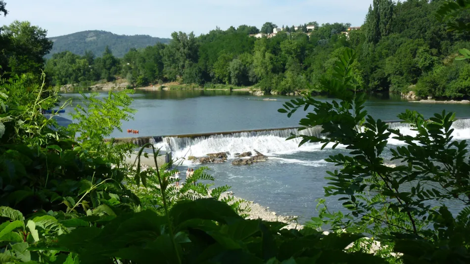 International Camping