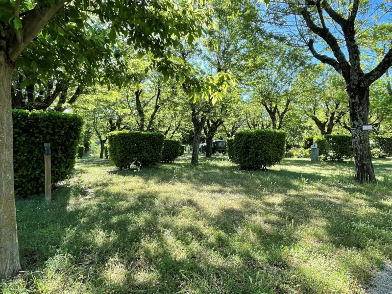 Emplacement Camping  2 Personnes + 1 Véhicule Ou Camping Car + Électricité 10A + Wifi Inclus