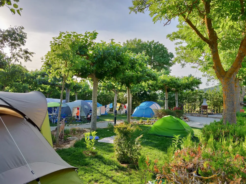 Emplacement - Emplacement Tente - Camping Prades Park