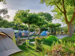 Stellplatz - Stellplatz  Zelt - Camping Prades Park