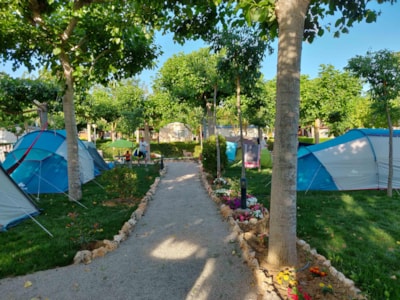 Pitch tent — 2