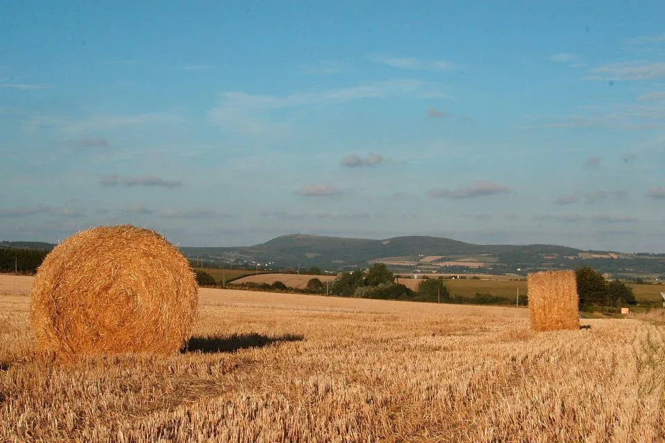 Sites et Paysages Le Panoramic