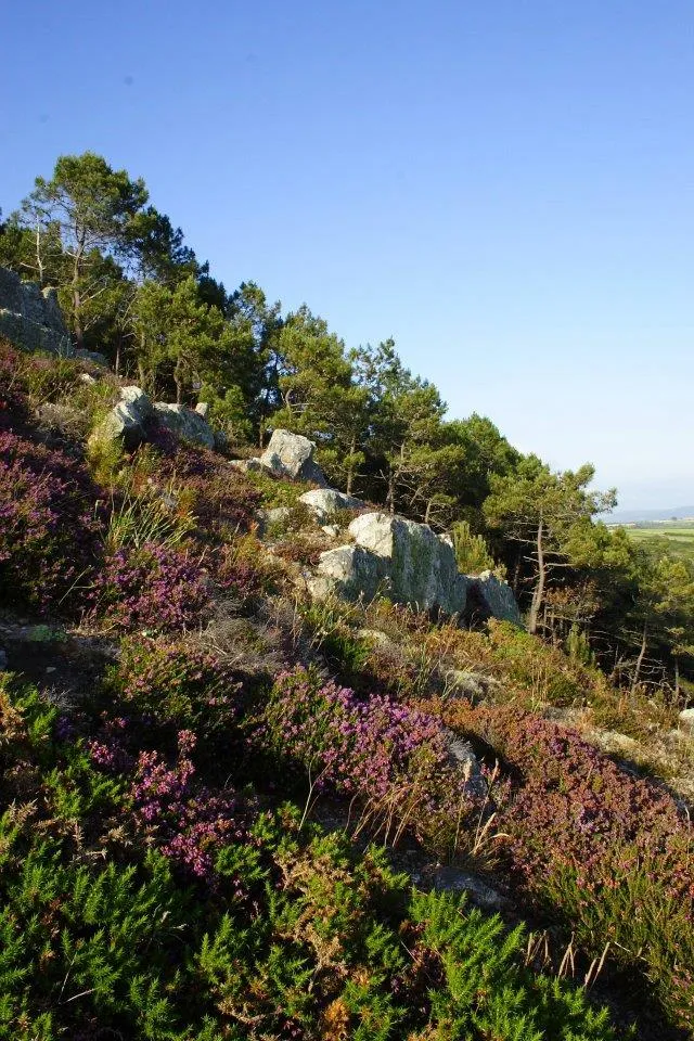 Sites et Paysages Le Panoramic