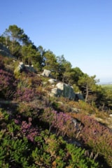 Foto #24 van Sites et Paysages Le Panoramic