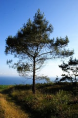 Foto #25 van Sites et Paysages Le Panoramic