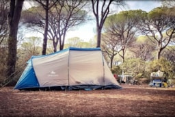 Stellplatz - Standplatz Für Wohnwägen, Camper, Zeltanhänger - Camping Village Cieloverde