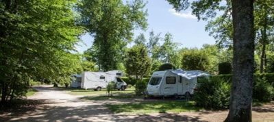 Comfort Pitch : XL pitch 180m² with electricity 16A