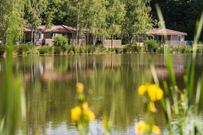 Castel Camping Les Bois du Bardelet