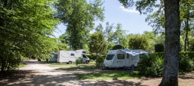 Transit night with camping car (incl. electricity)