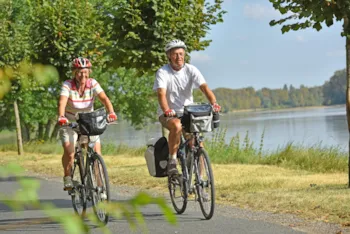 Stellplatz - Loire Mit Dem Fahrrad : Stellplatz + Strom - Castel Camping Les Bois du Bardelet