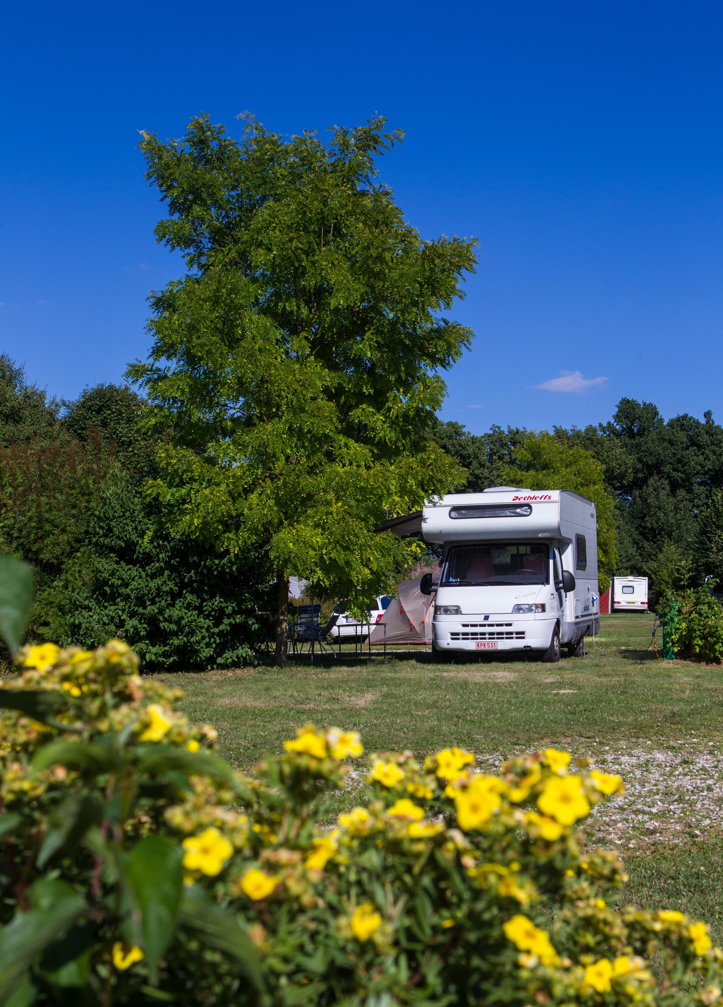 Castel Camping Les Bois du Bardelet — Photo 6