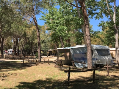 Place for tent trailer, bus, camping car — 1