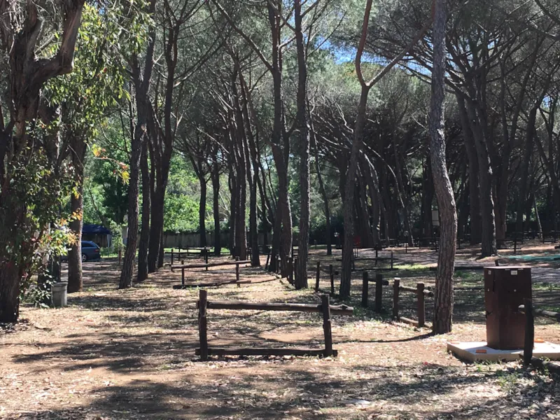 Emplacement Comfort Pour Caravane, Camping Car