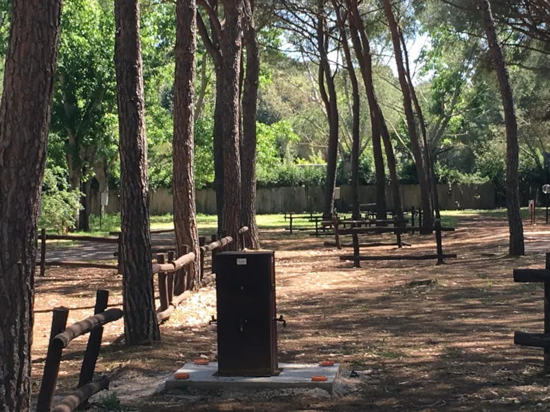 Emplacement Comfort Pour Caravane, Camping Car