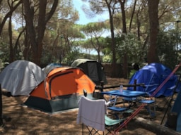 Kampeerplaats(en) - Standplaats Voor Tent 2 Places (2X2) - Camping Village Rocchette