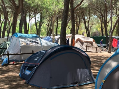 Place for medium/large tent — 2