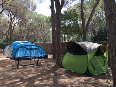 Place for medium/large tent — 3