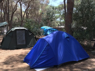 Place for medium/large tent — 4