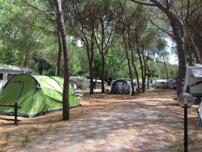 Place for medium/large tent — 7