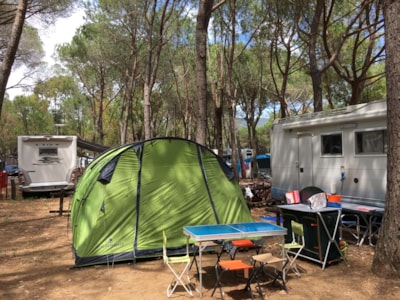 Place for medium/large tent — 5