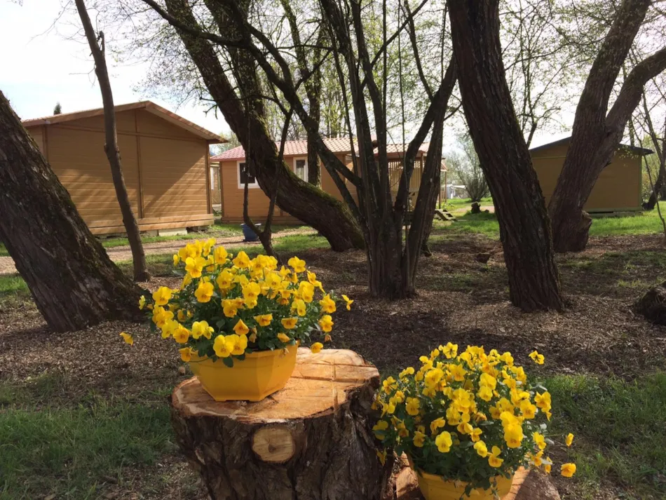 Camping Onlycamp L'Etang des Forges