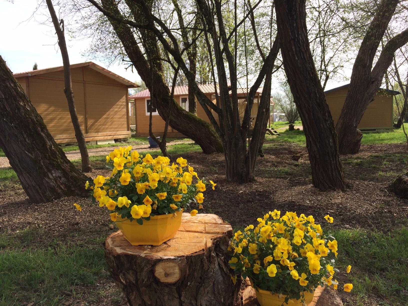 Camping Onlycamp L'Etang des Forges — Photo 7