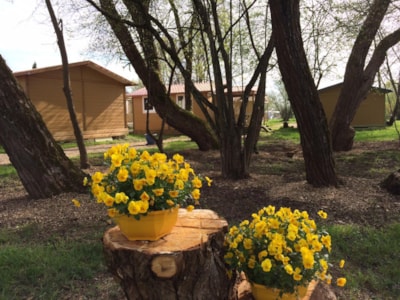 Camping Onlycamp L'Etang des Forges