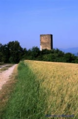 Foto #75 van Flower Camping La Chataigneraie