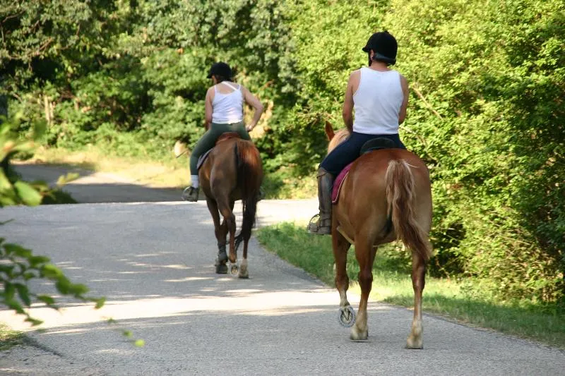 Flower Camping La Chataigneraie