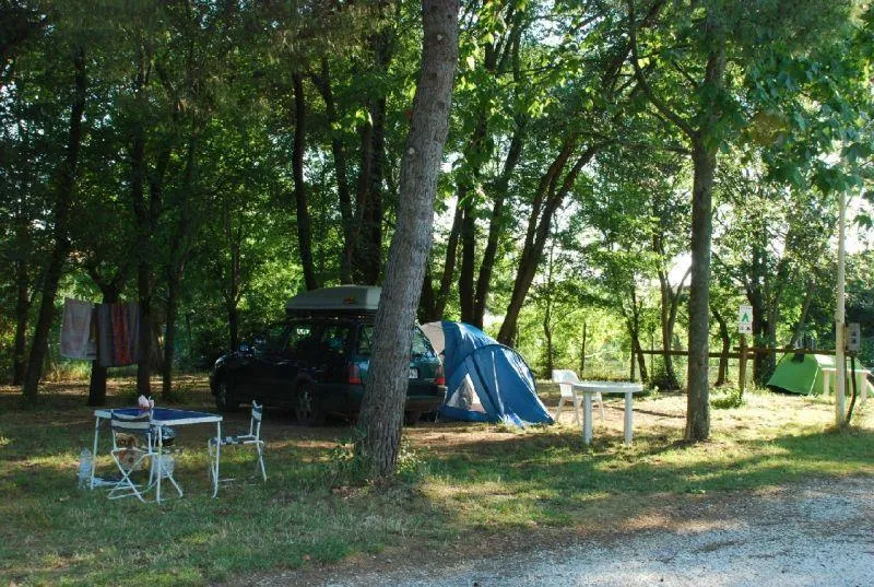 Torre Pendente Camping Village